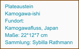 Plateaustein Kamogawa-ishi Fundort: Kamogawafluss, Japan Maße: 22*12*7 cm Sammlung: Sybilla Rathmann