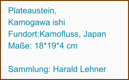 Plateaustein,  Kamogawa ishi Fundort:Kamofluss, Japan Maße: 18*19*4 cm  Sammlung: Harald Lehner