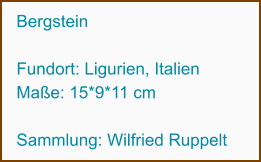 Bergstein  Fundort: Ligurien, Italien Maße: 15*9*11 cm  Sammlung: Wilfried Ruppelt