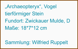 „Archaeopteryx“, Vogel tierförmiger Stein Fundort: Zwickauer Mulde, D Maße: 18*7*12 cm  Sammlung: Wilfried Ruppelt