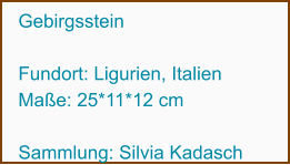 Gebirgsstein  Fundort: Ligurien, Italien Maße: 25*11*12 cm   Sammlung: Silvia Kadasch